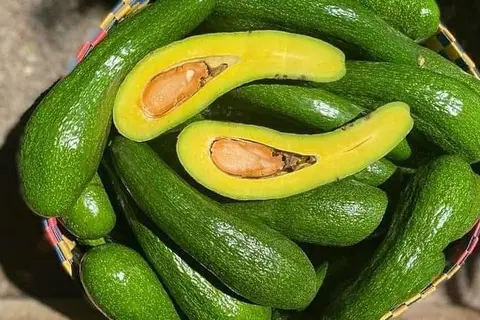 Quả Bơ: Vitamin E Và Chất Béo Không Bão Hòa giúp tóc mọc nhanh
