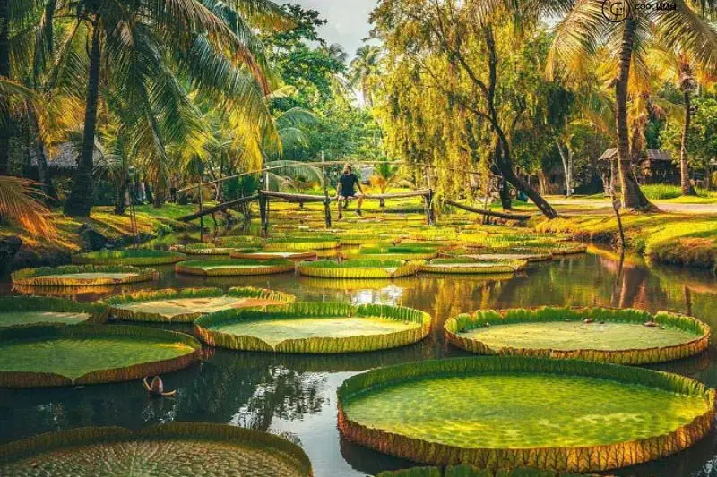 Địa điểm đi chơi ở Bình Thạnh
